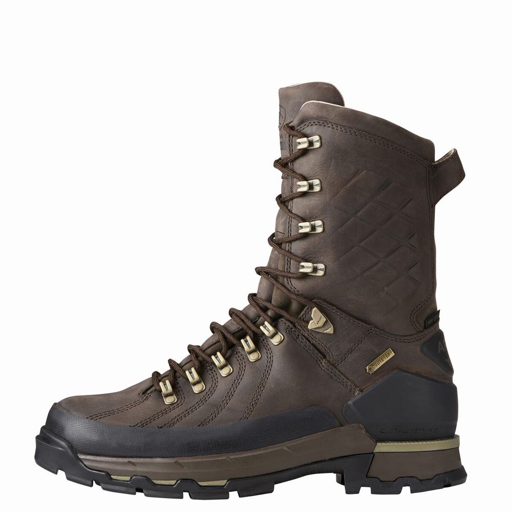 Brown Ariat Catalyst VX Defiant 10