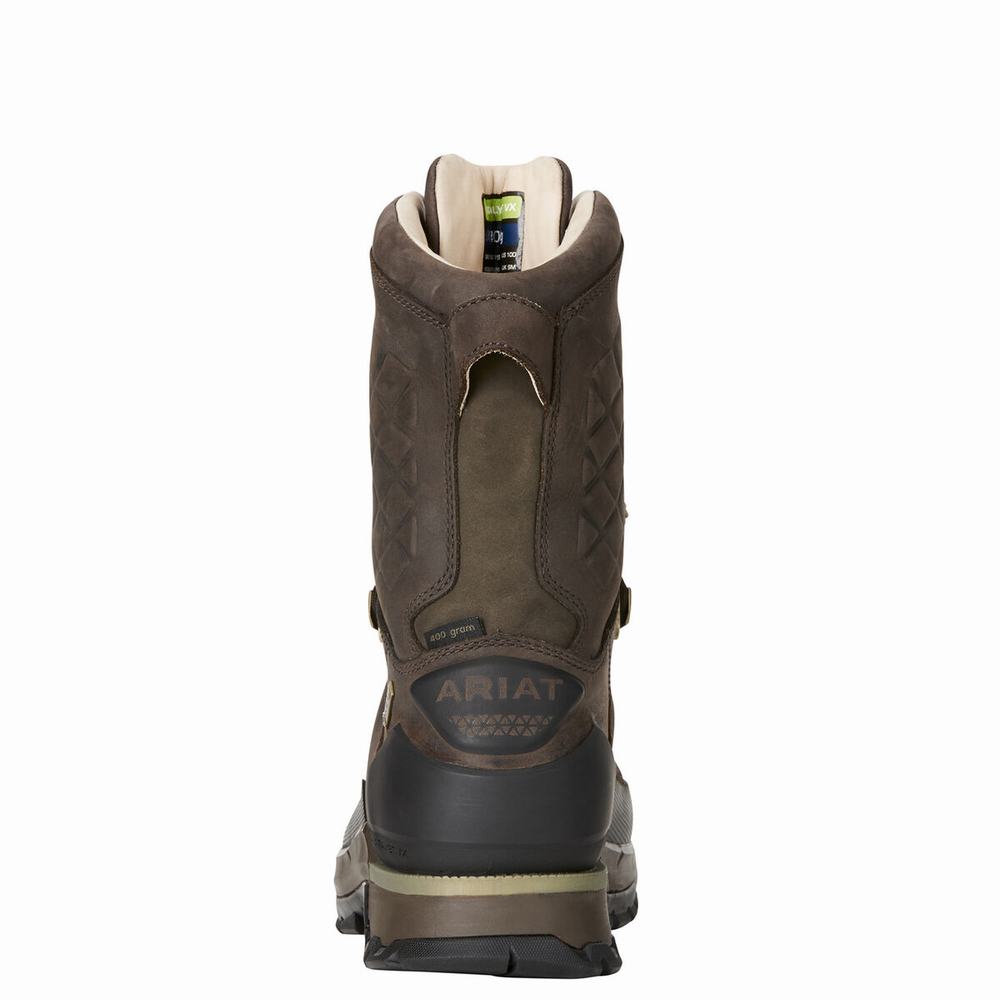 Brown Ariat Catalyst VX Defiant 10