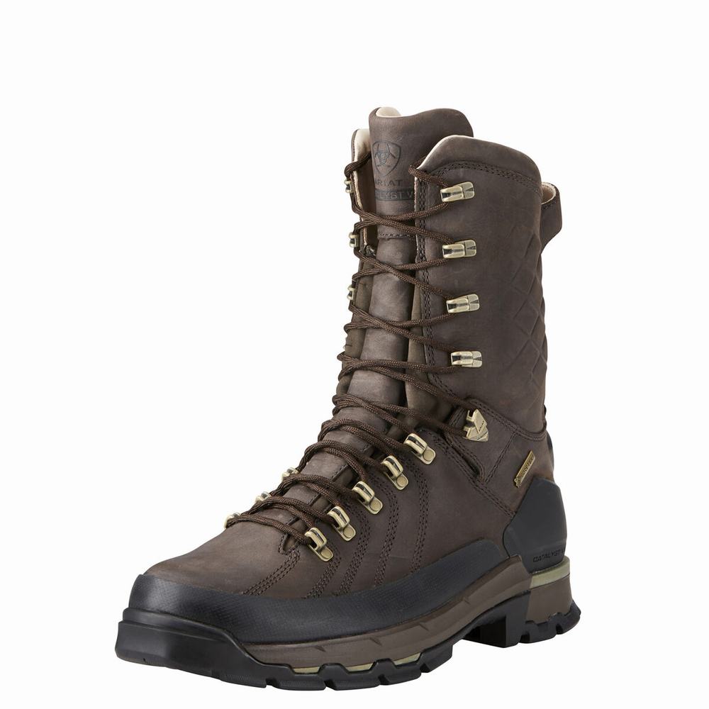 Brown Ariat Catalyst VX Defiant 10\