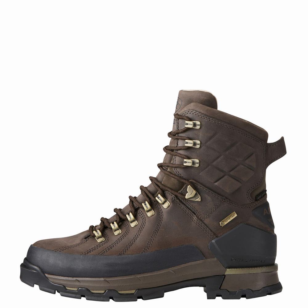 Brown Ariat Catalyst VX Defiant 8