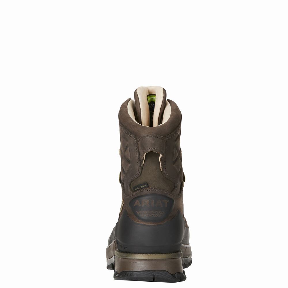 Brown Ariat Catalyst VX Defiant 8