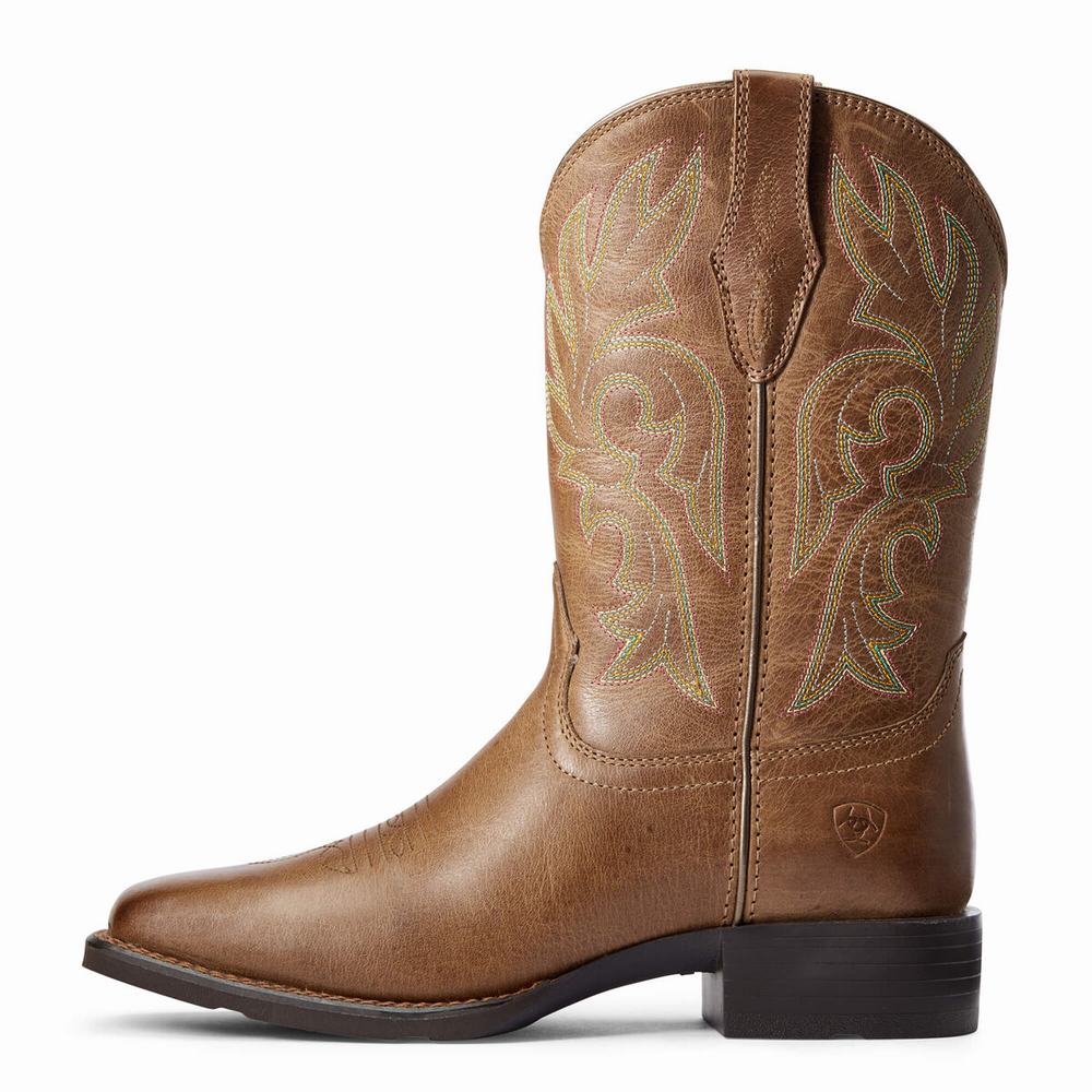 Brown Ariat Cattle Drive Women's Western Boots | EDPB19732