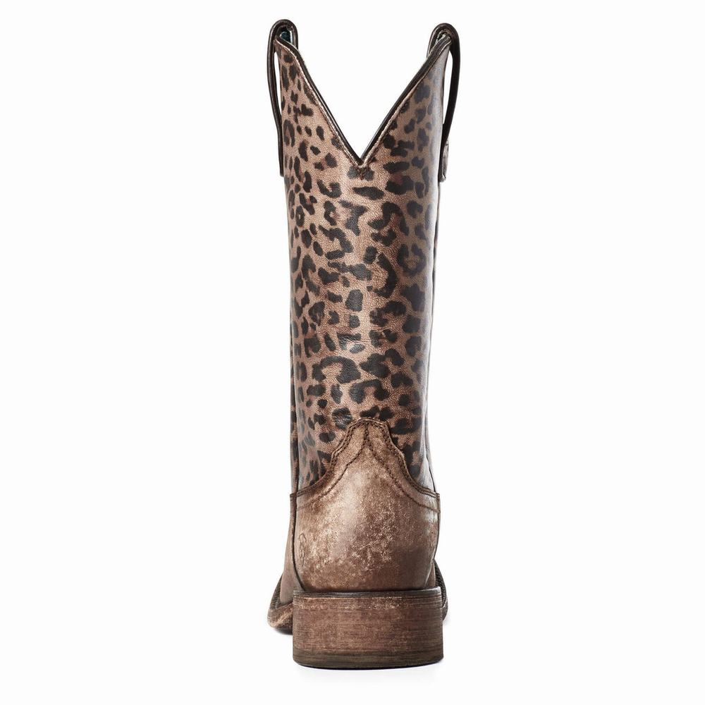 Brown Ariat Circuit Savanna Women's Western Boots | QOBA26048