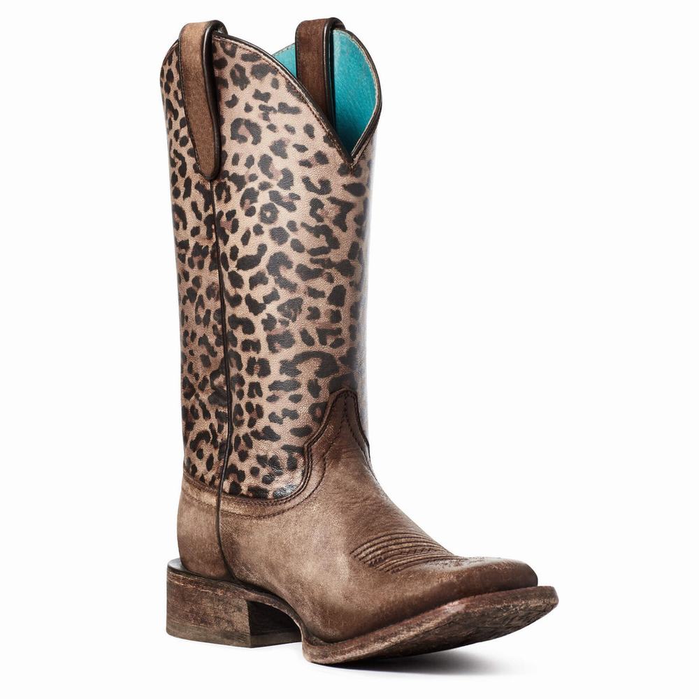 Brown Ariat Circuit Savanna Women's Western Boots | QOBA26048