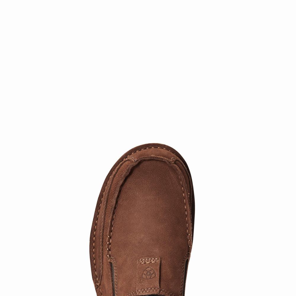 Brown Ariat Cruiser Men's Sneakers | UXSW97046