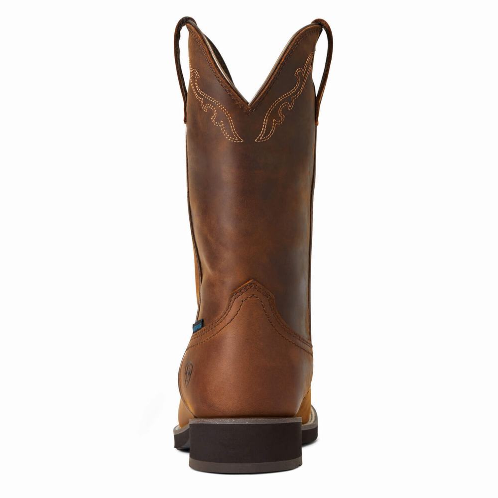 Brown Ariat Delilah Round Toe Waterproof Women's Western Boots | GZIC30487