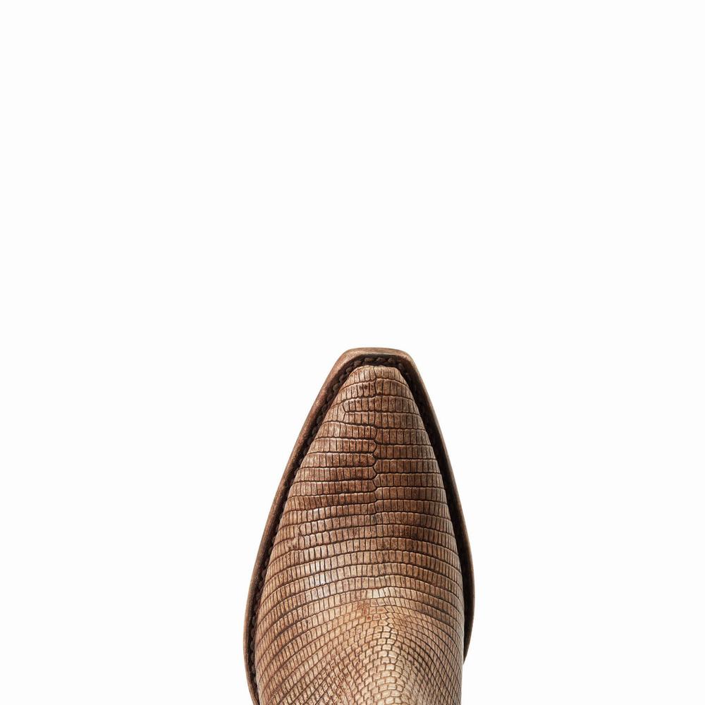 Brown Ariat Dixon Lizard Women's Booties | TNOY28604