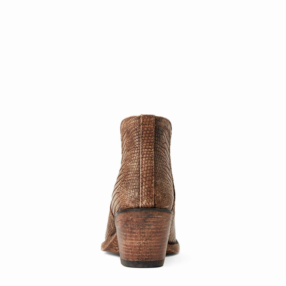 Brown Ariat Dixon Lizard Women's Booties | TNOY28604