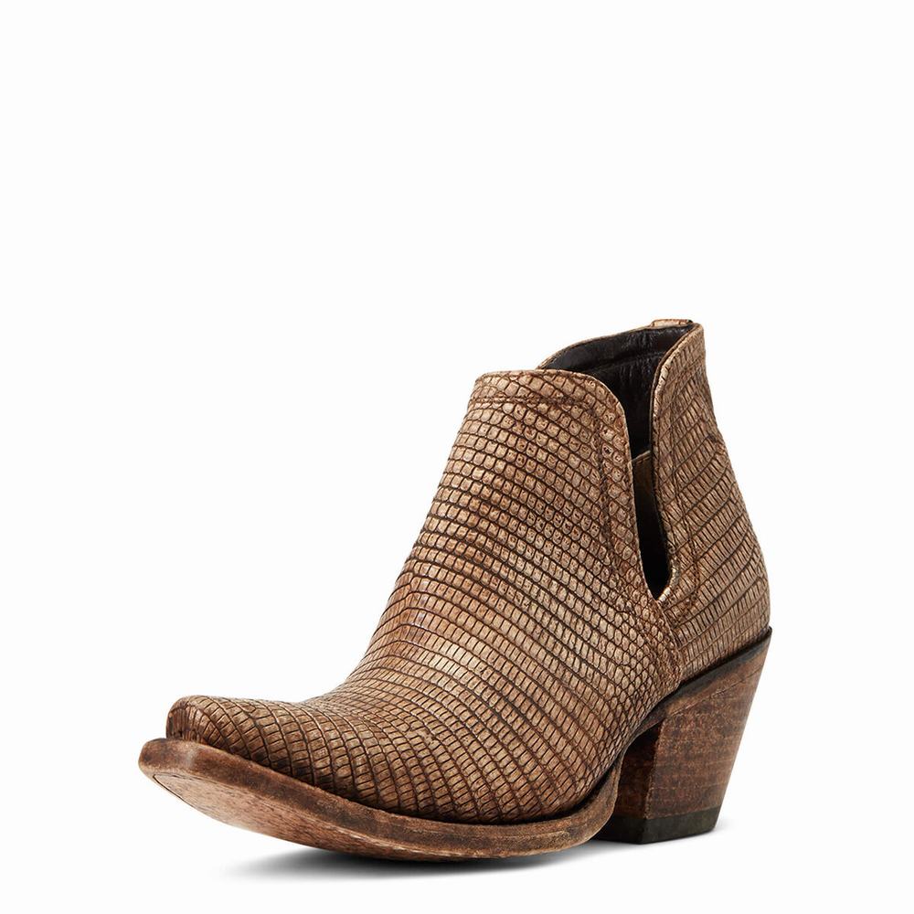 Brown Ariat Dixon Lizard Women\'s Booties | TNOY28604