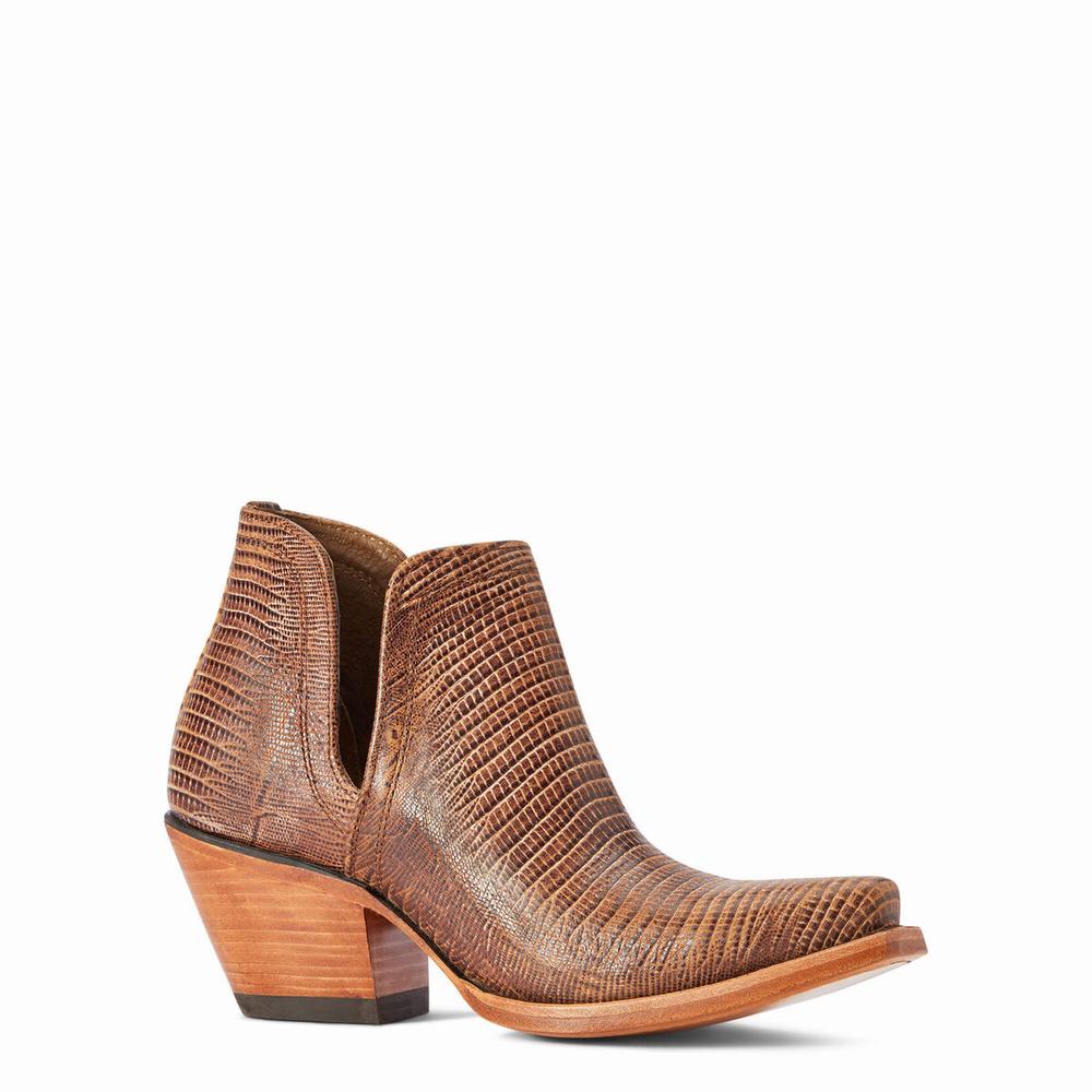 Brown Ariat Dixon Women's Booties | ZEVX06981