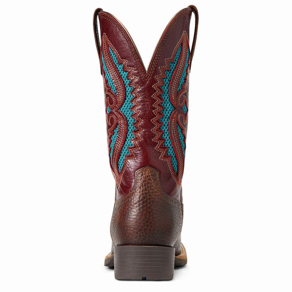 Brown Ariat Hybrid Rancher VentTek 360 Women's Western Boots | EOJY48712