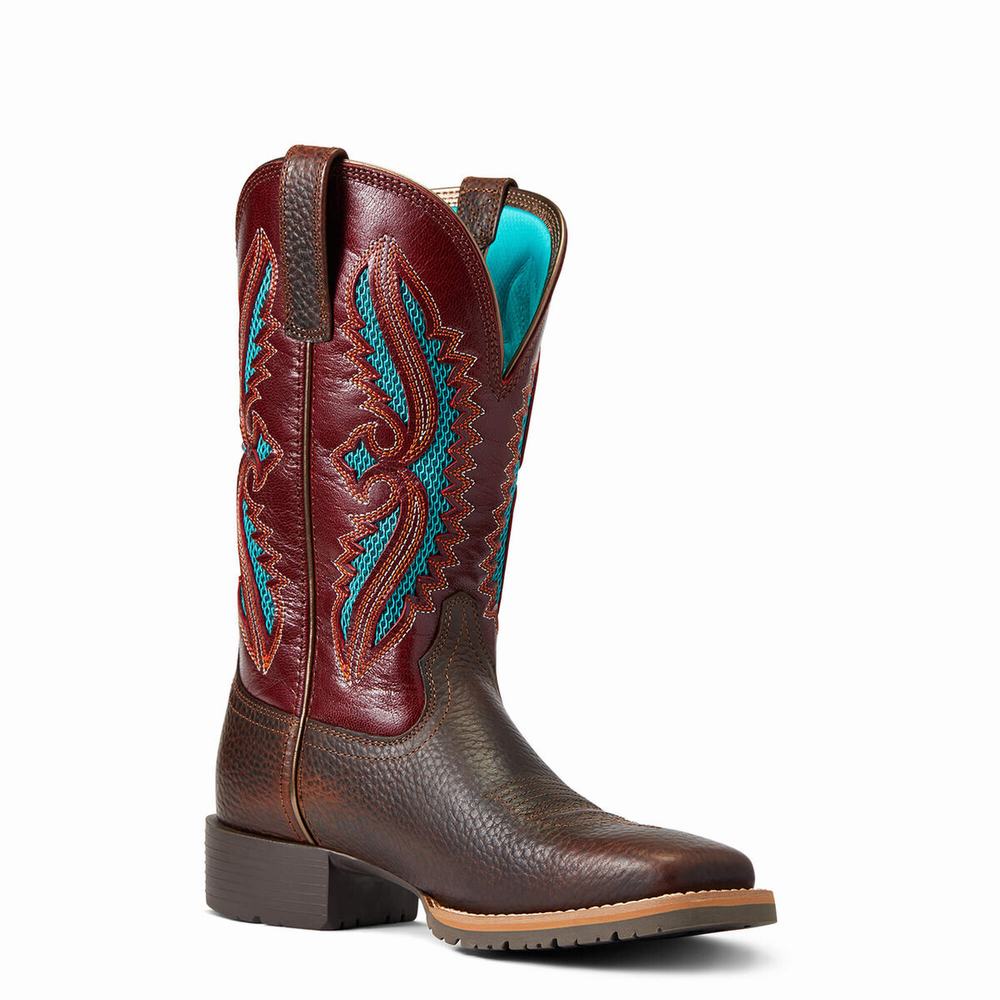 Brown Ariat Hybrid Rancher VentTek 360 Women's Western Boots | EOJY48712