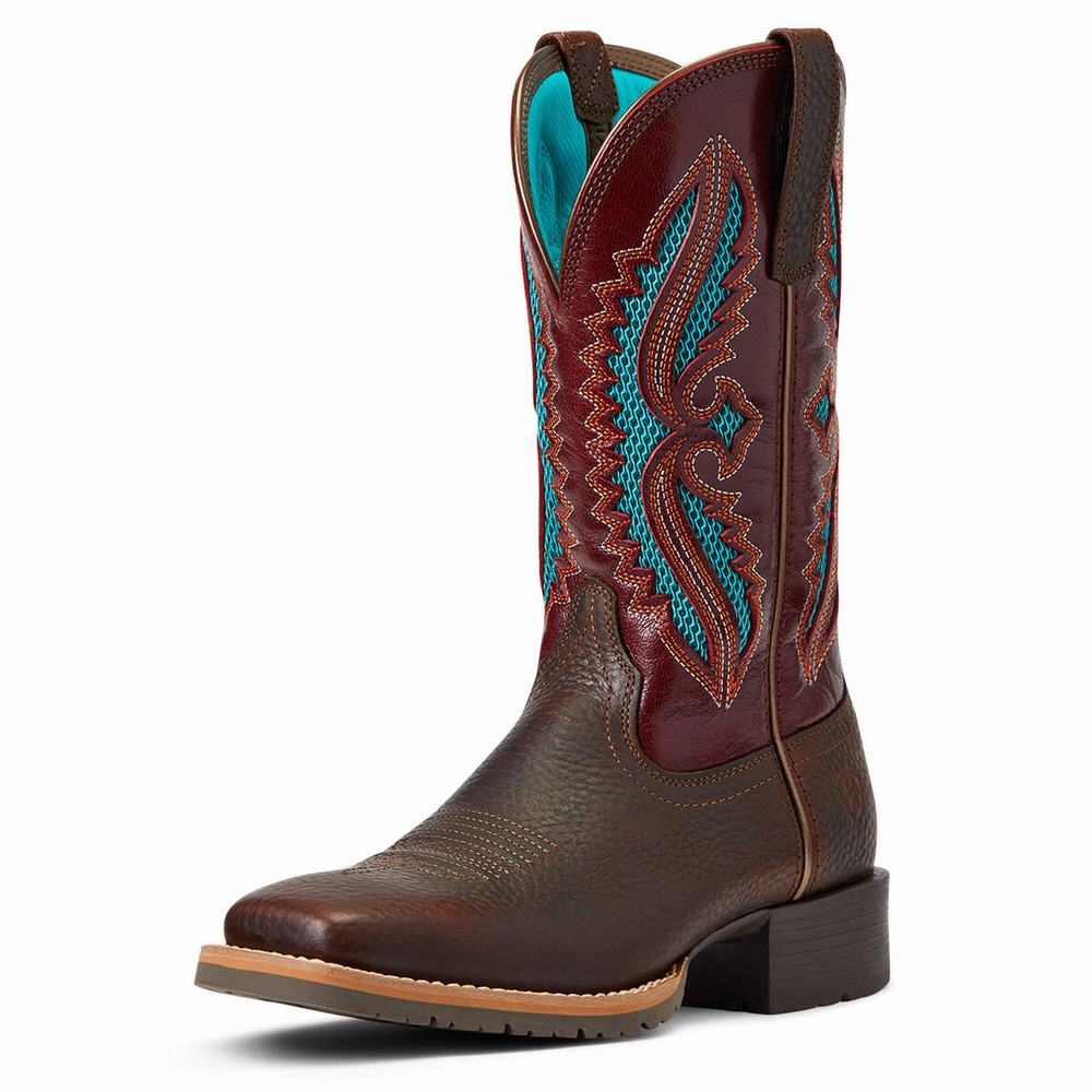 Brown Ariat Hybrid Rancher VentTek 360 Women\'s Western Boots | EOJY48712