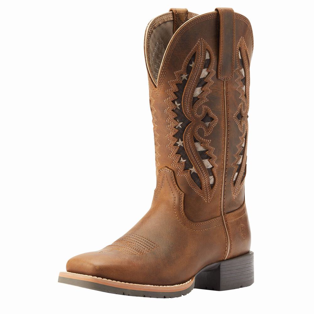 Brown Ariat Hybrid Rancher VentTek 360 Women\'s Western Boots | NXGW25714