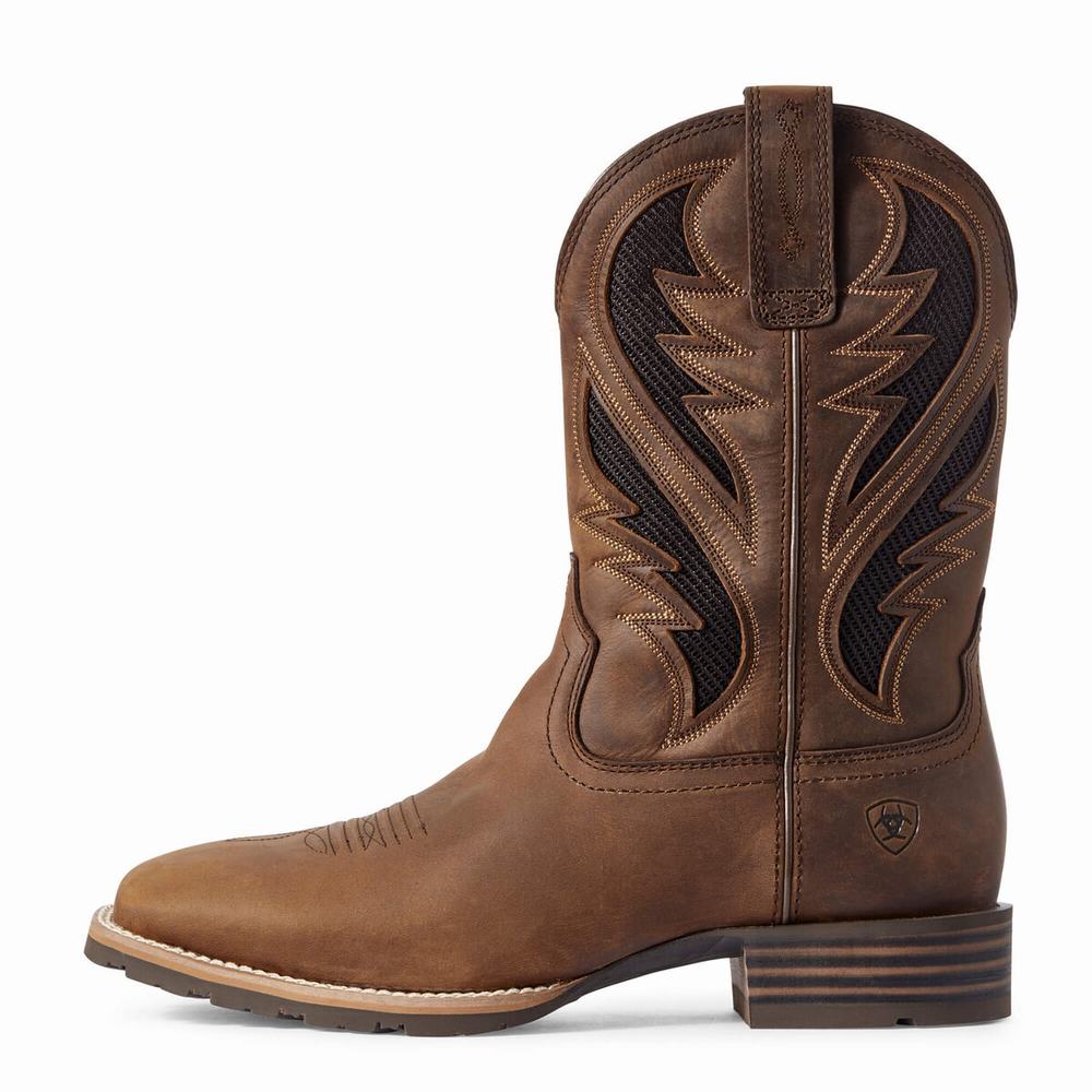 Brown Ariat Hybrid VentTEK Men's Western Boots | PSGB09632