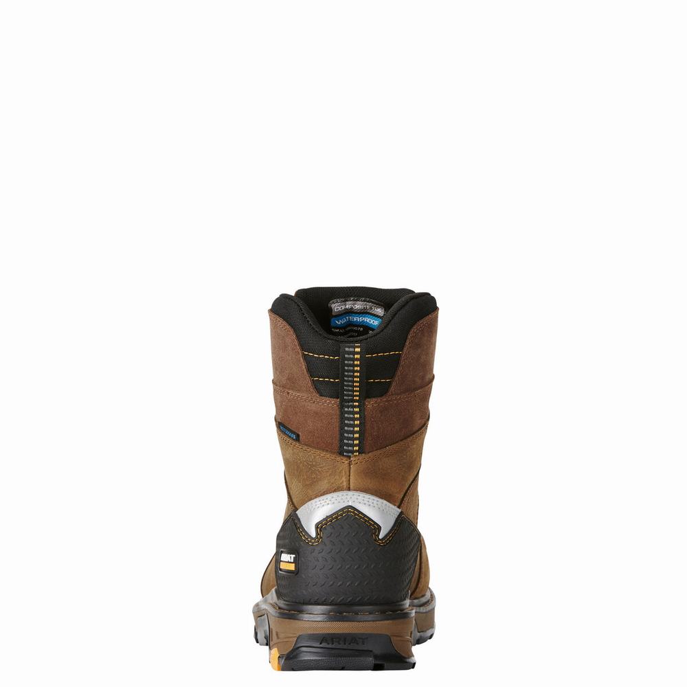 Brown Ariat Intrepid 8