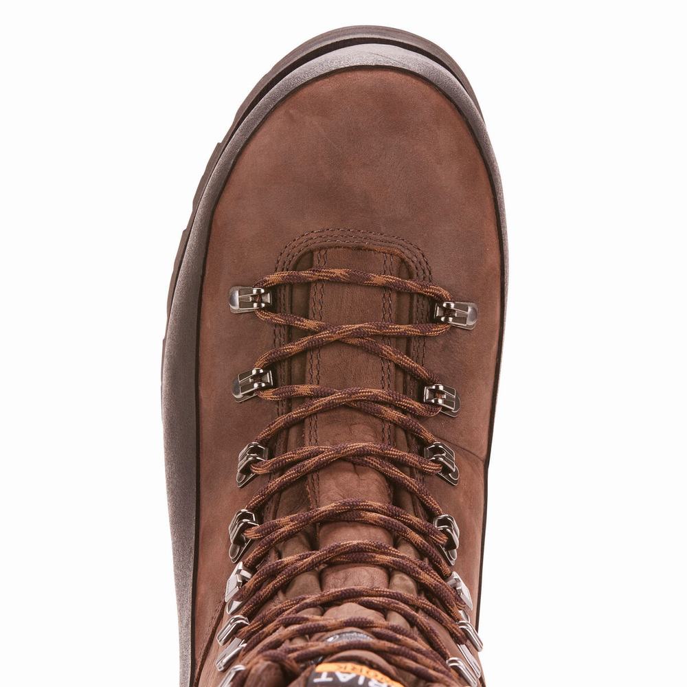 Brown Ariat Linesman Ridge 10