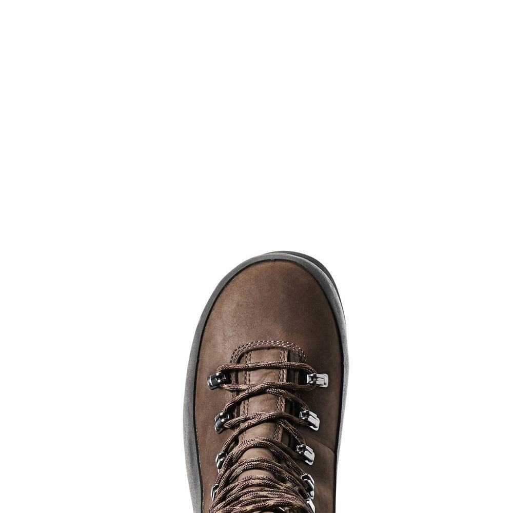 Brown Ariat Linesman Ridge 10