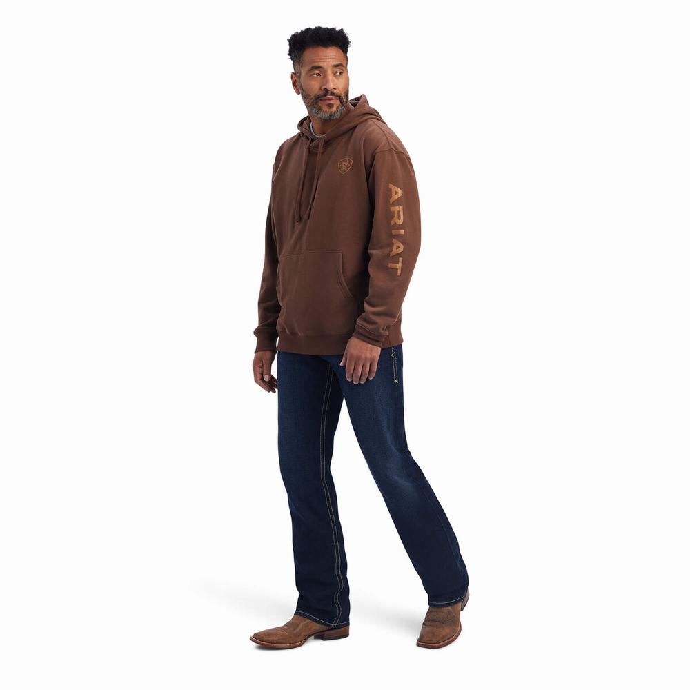 Brown Ariat Logo Men's Hoodies | MNRL91367