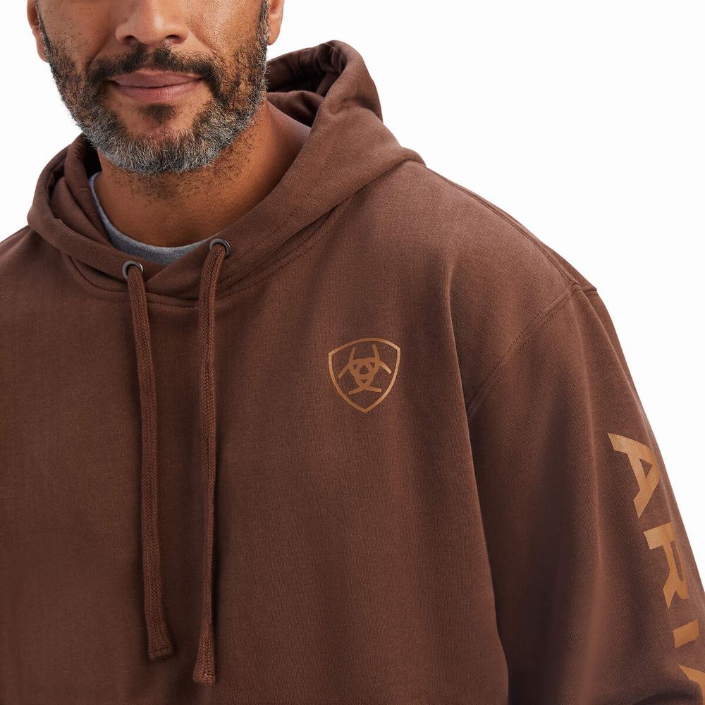 Brown Ariat Logo Men's Hoodies | MNRL91367