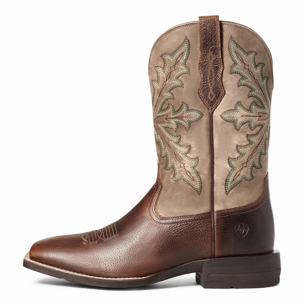 Brown Ariat Qualifier Men's Western Boots | SKEM80417