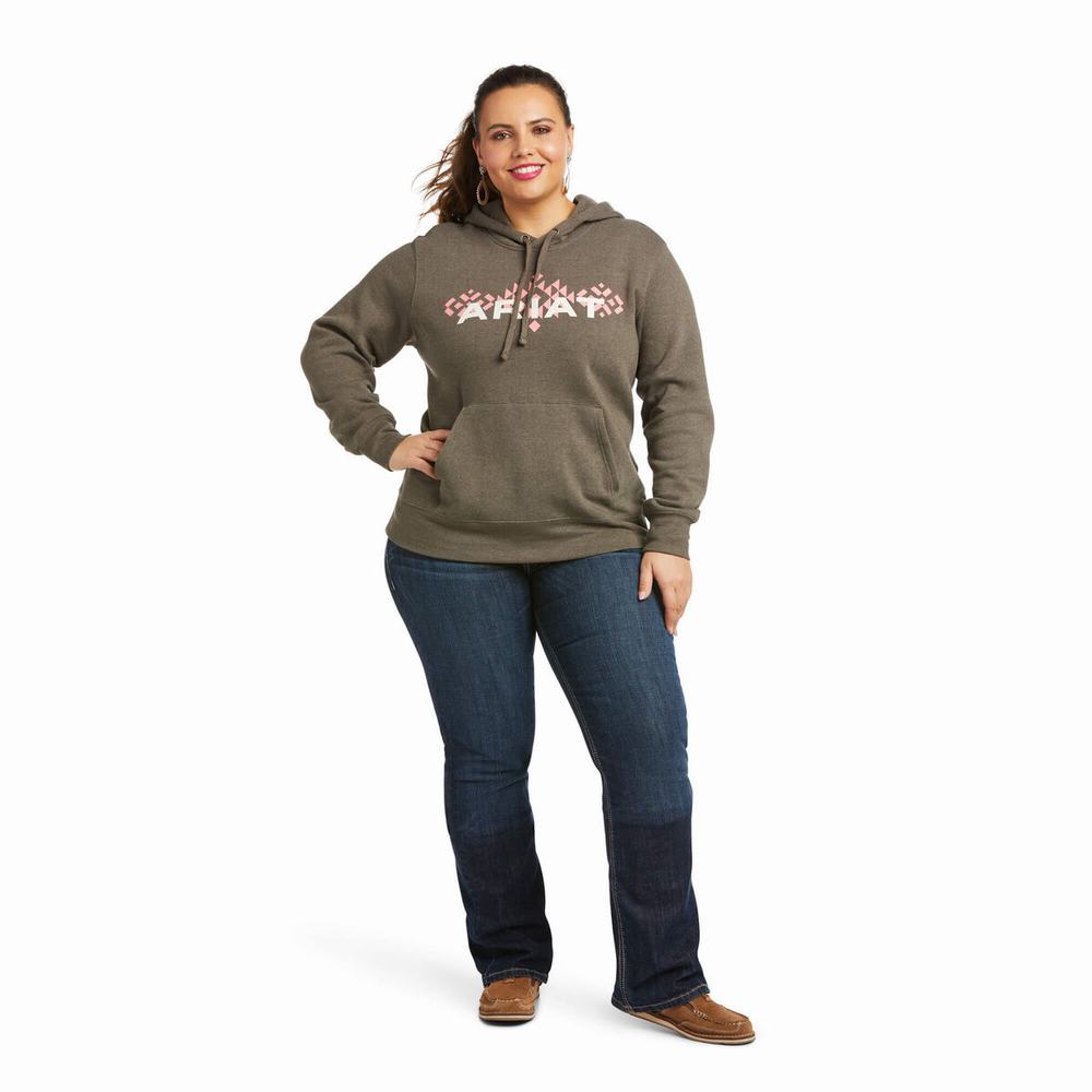 Brown Ariat REAL Arm Logo Women's Hoodies | GCLH86274