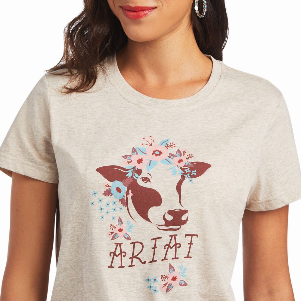 Brown Ariat REAL Moo Women's Tops | HVZK90832