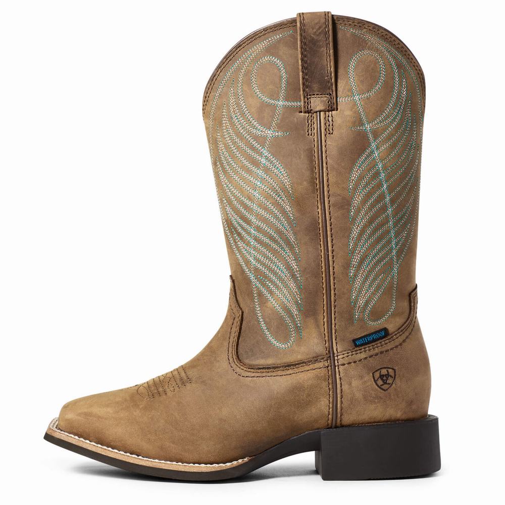 Brown Ariat Round Up Wide Square Toe Waterproof Women's Waterproof Boots | XMLW13549