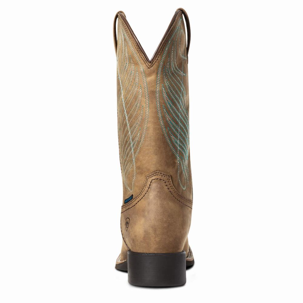 Brown Ariat Round Up Wide Square Toe Waterproof Women's Waterproof Boots | XMLW13549