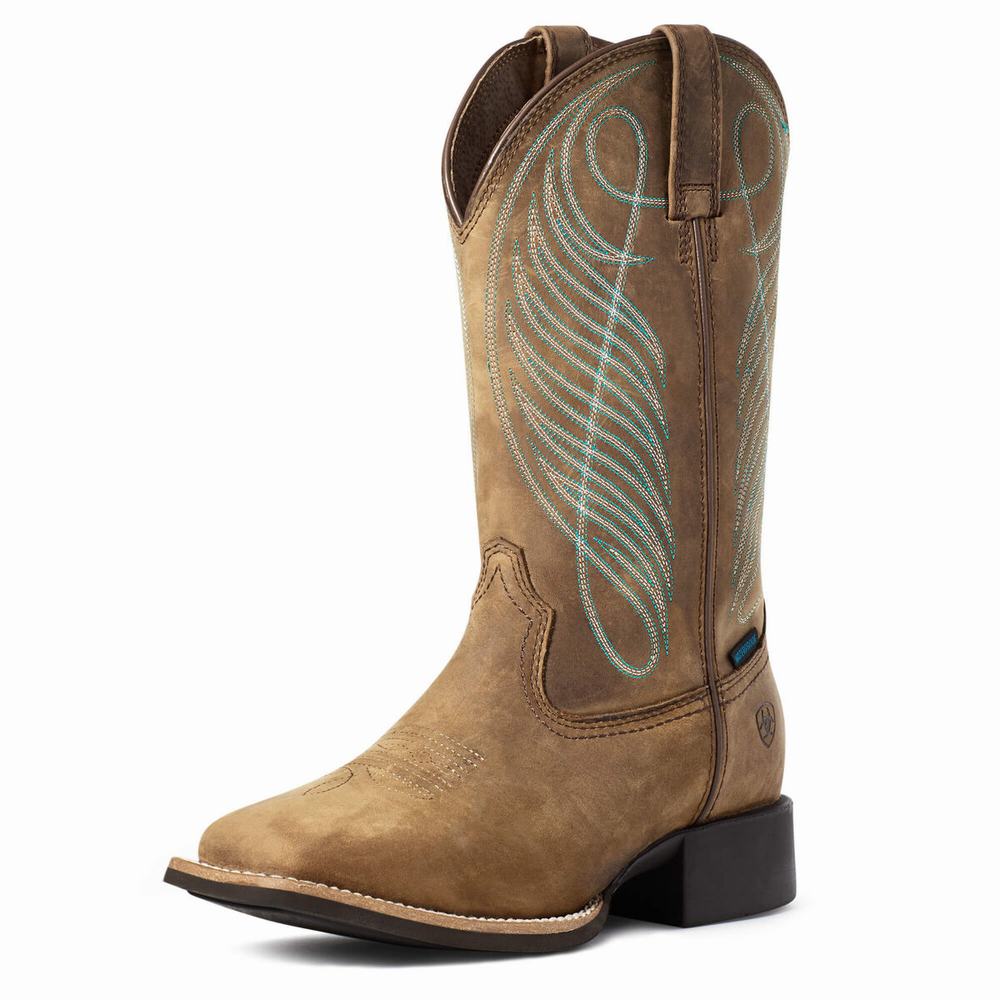 Brown Ariat Round Up Wide Square Toe Waterproof Women\'s Waterproof Boots | XMLW13549