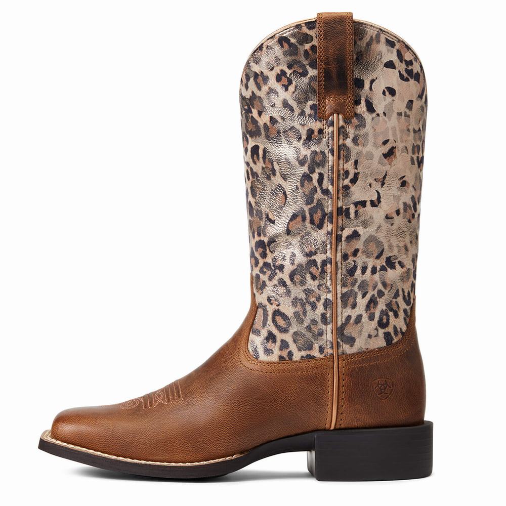 Brown Ariat Round Up Wide Square Toe Women's Western Boots | XNIL34685