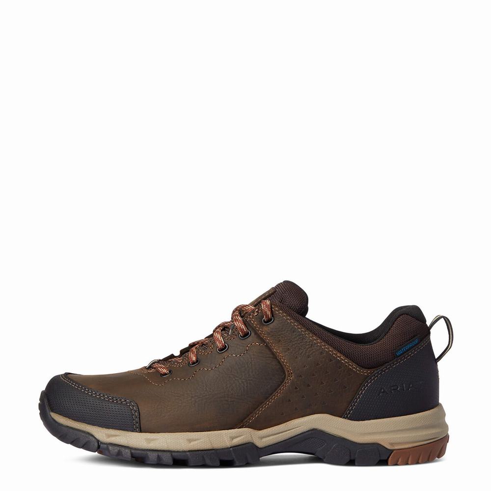 Brown Ariat Skyline Low Waterproof Men's Hiking Boots | ZTGU79480