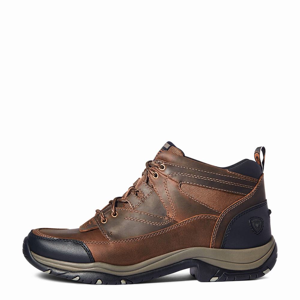 Brown Ariat Terrain Men's Hiking Boots | NYBJ24539