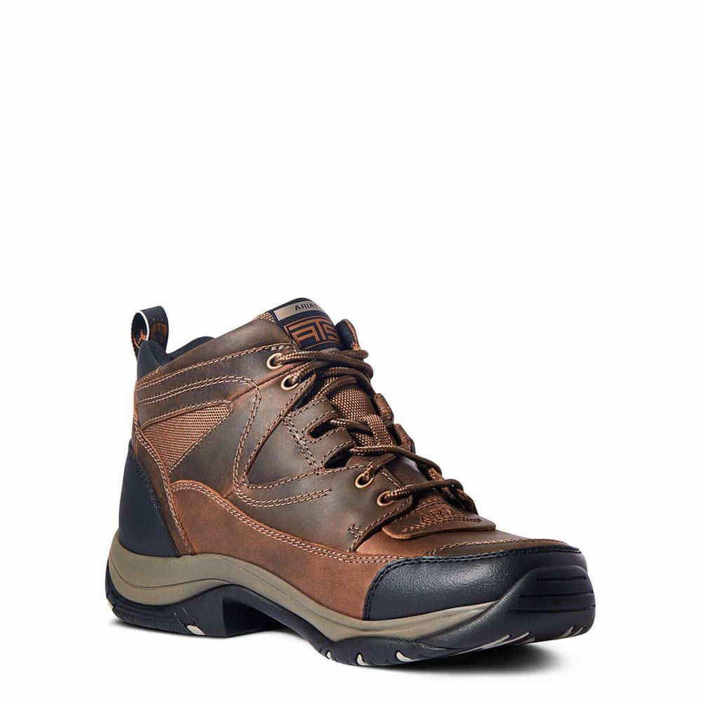 Brown Ariat Terrain Men's Hiking Boots | NYBJ24539