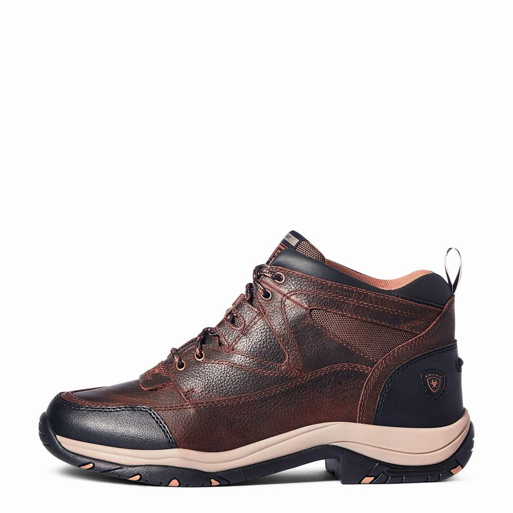 Brown Ariat Terrain Men's Hiking Boots | RUAT29106