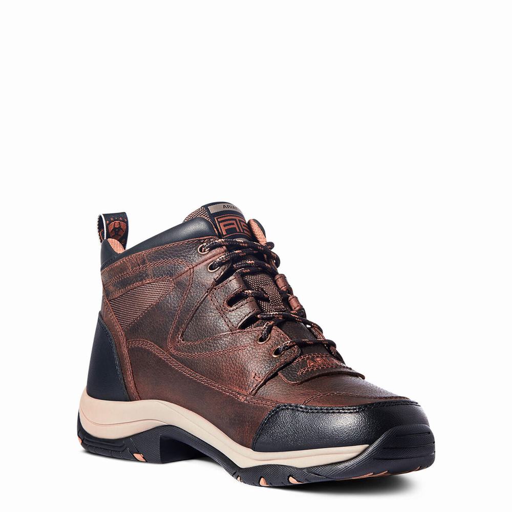 Brown Ariat Terrain Men's Hiking Boots | RUAT29106