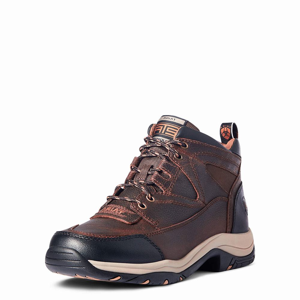 Brown Ariat Terrain Men\'s Hiking Boots | RUAT29106