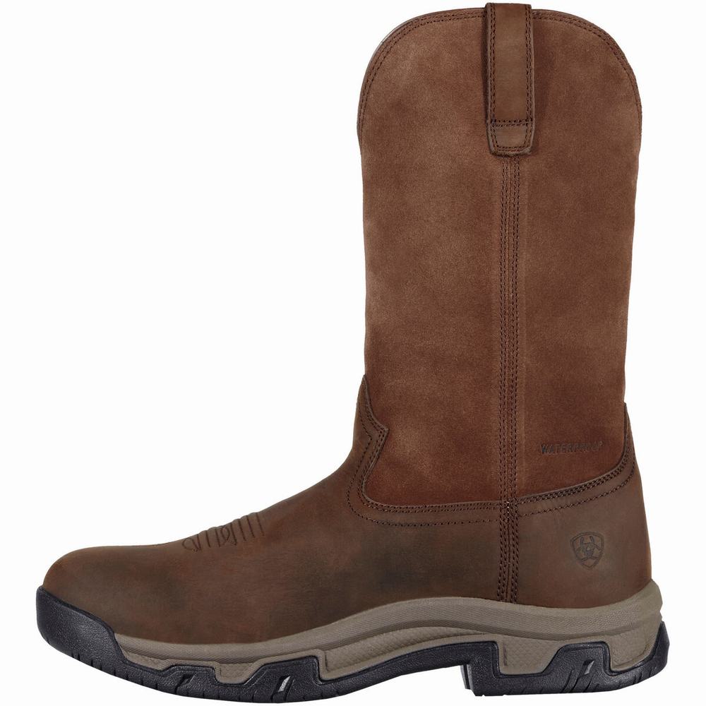 Brown Ariat Terrain Pull On Waterproof Men's English Riding Boots | MKNF58094