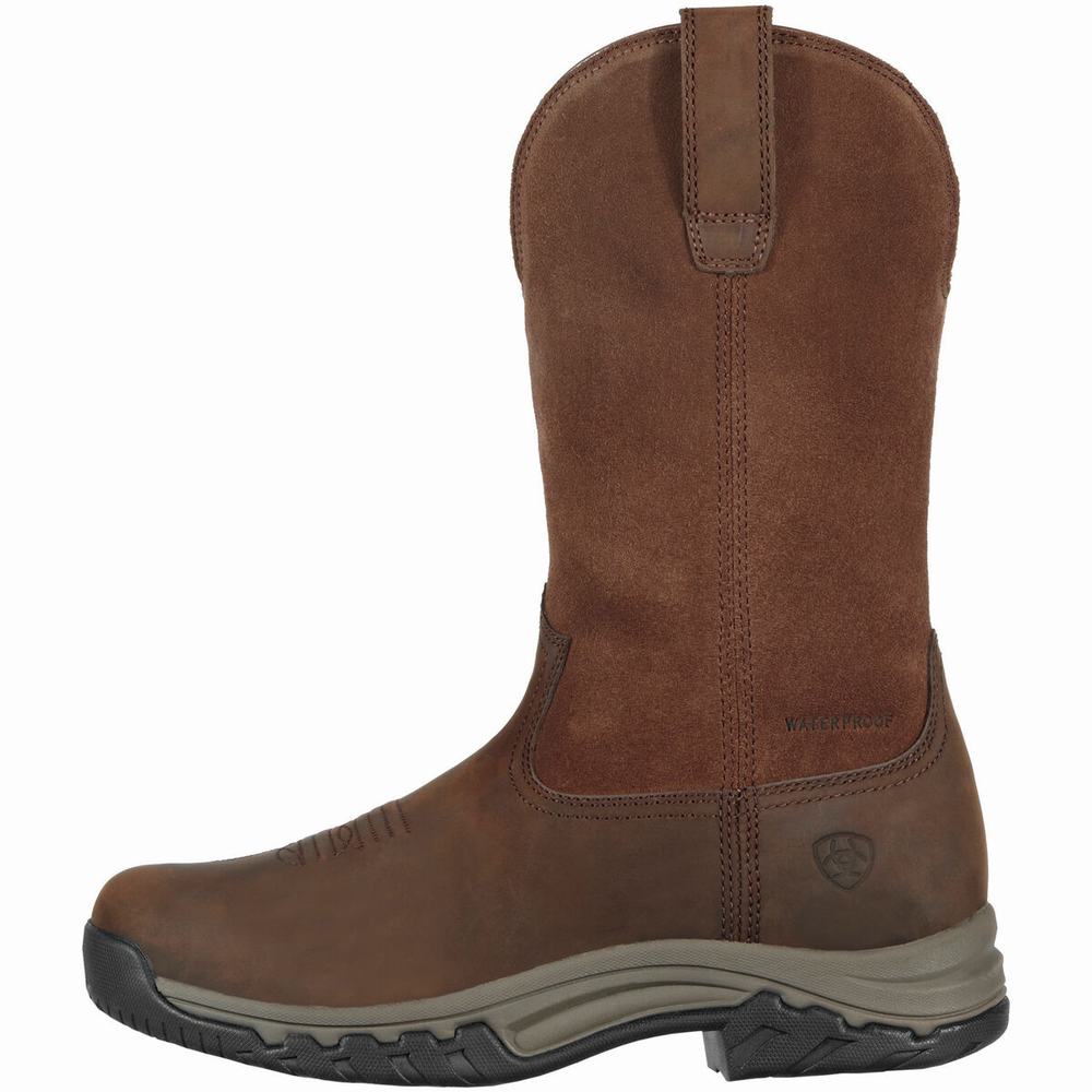 Brown Ariat Terrain Pull On Waterproof Women's English Riding Boots | WYCP15980