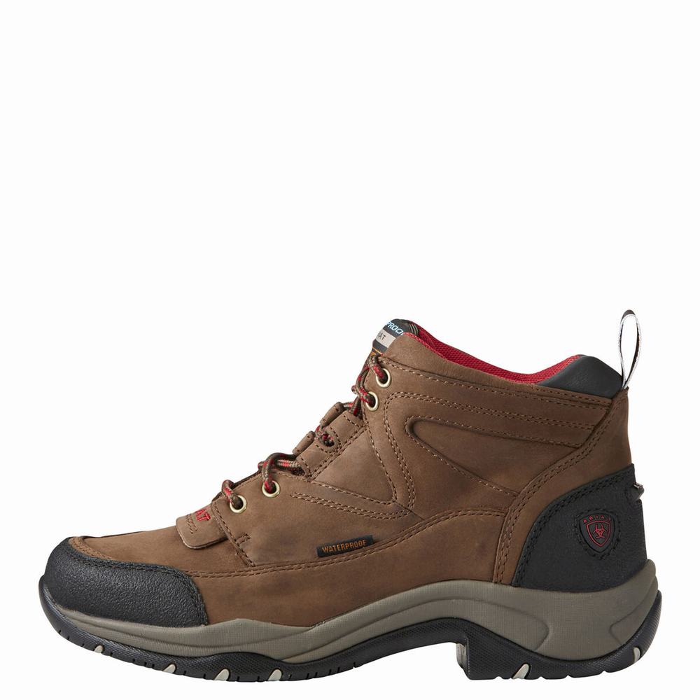 Brown Ariat Terrain Waterproof Women's Hiking Boots | AMQJ78041