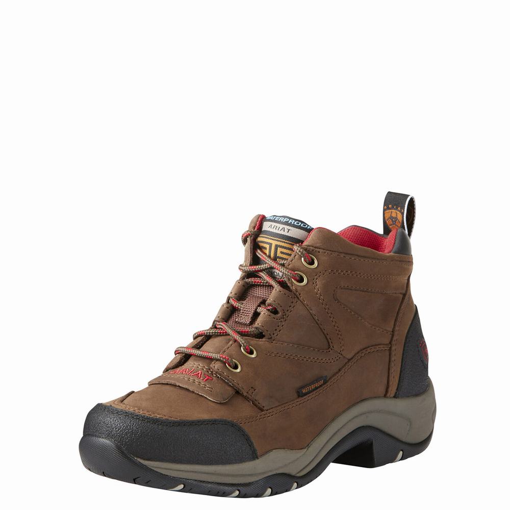 Brown Ariat Terrain Waterproof Women\'s Hiking Boots | AMQJ78041