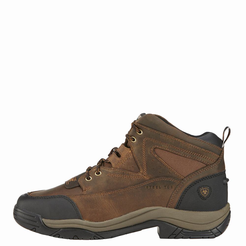 Brown Ariat Terrain Wide Square Toe Steel Toe Men's Hiking Boots | UBDG89514