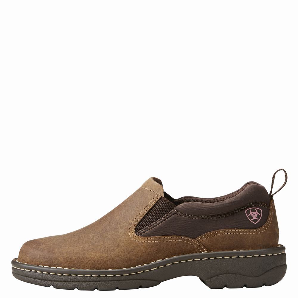 Brown Ariat Traverse Women's Sneakers | ZAGS18349