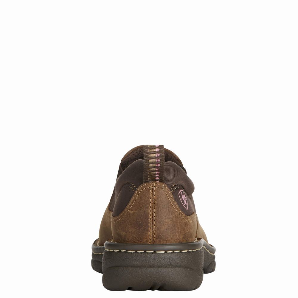 Brown Ariat Traverse Women's Sneakers | ZAGS18349