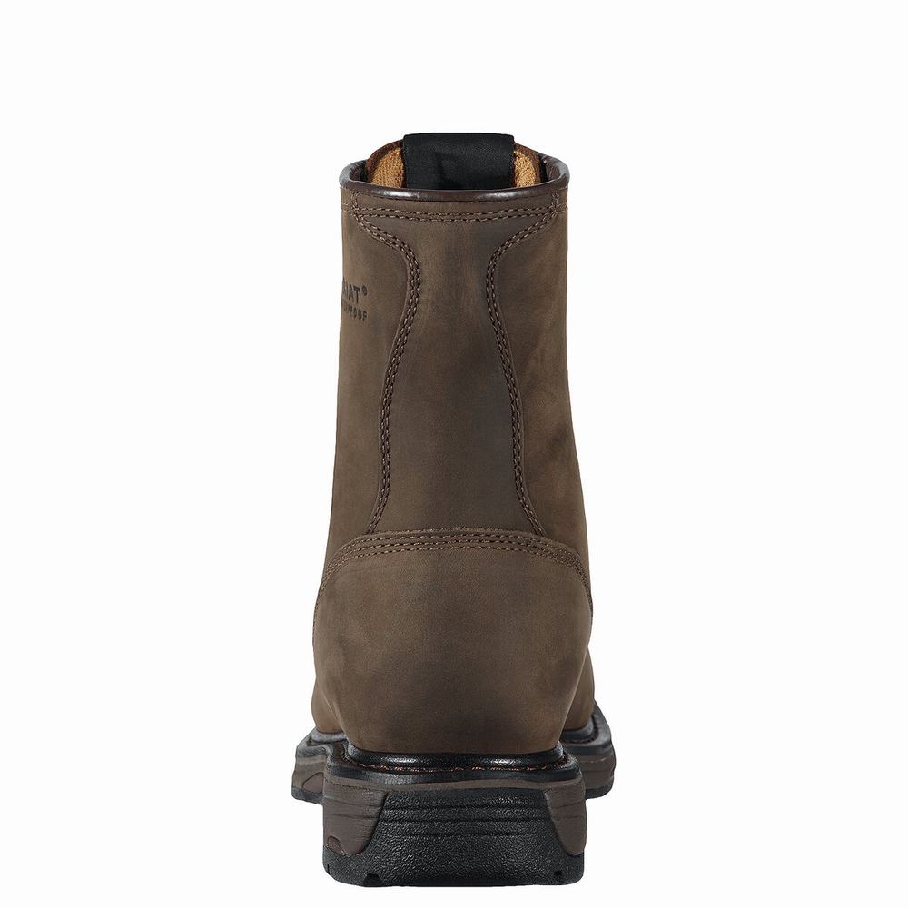 Brown Ariat WorkHog 8