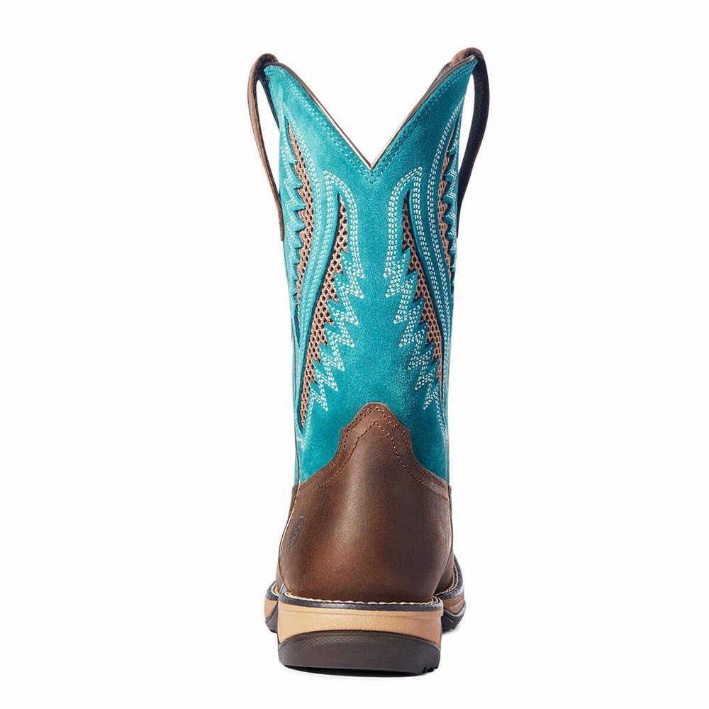 Chocolate Ariat Anthem VentTEK Women's Western Boots | XROI63029