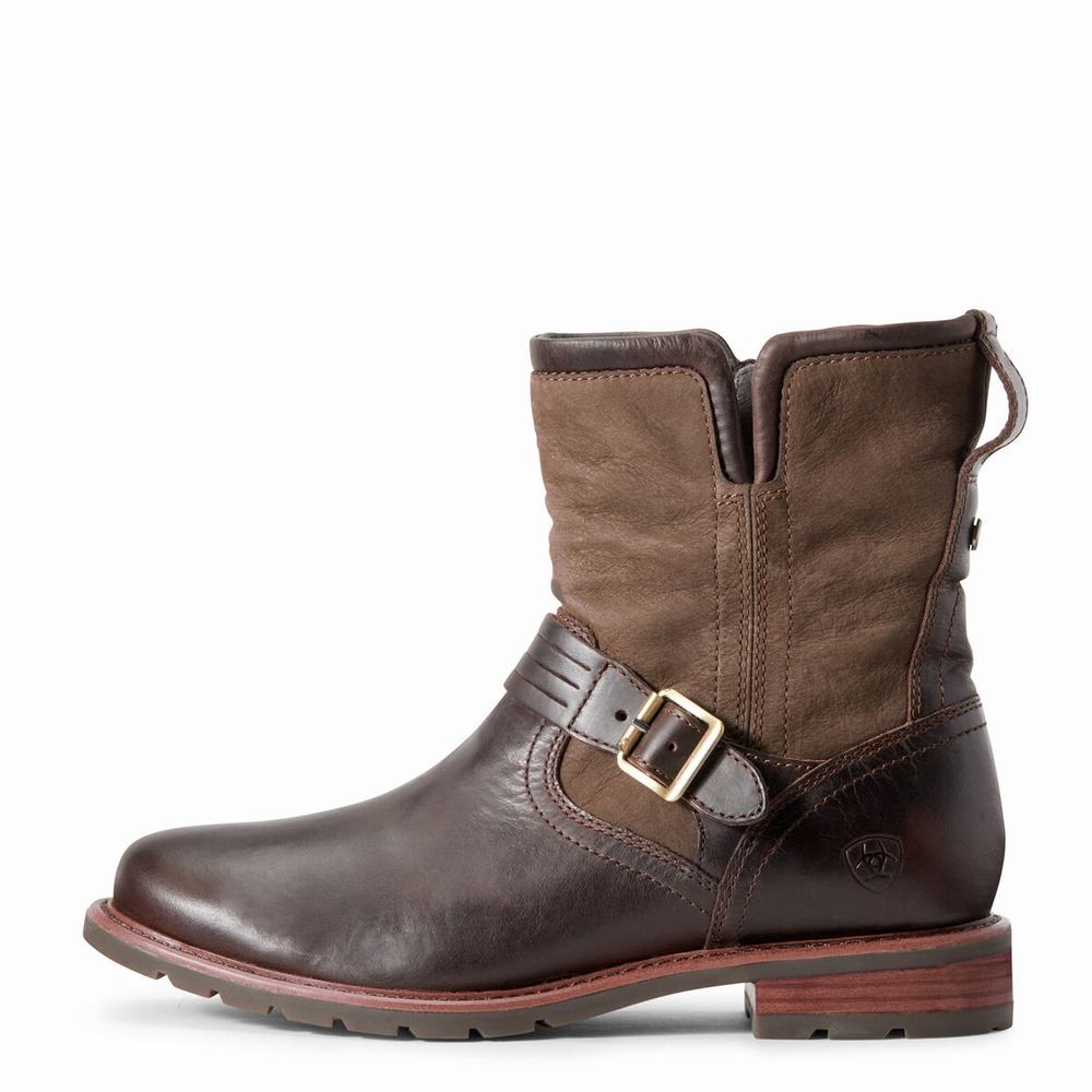 Chocolate Ariat Savannah Waterproof Women's Booties | HEJF50496