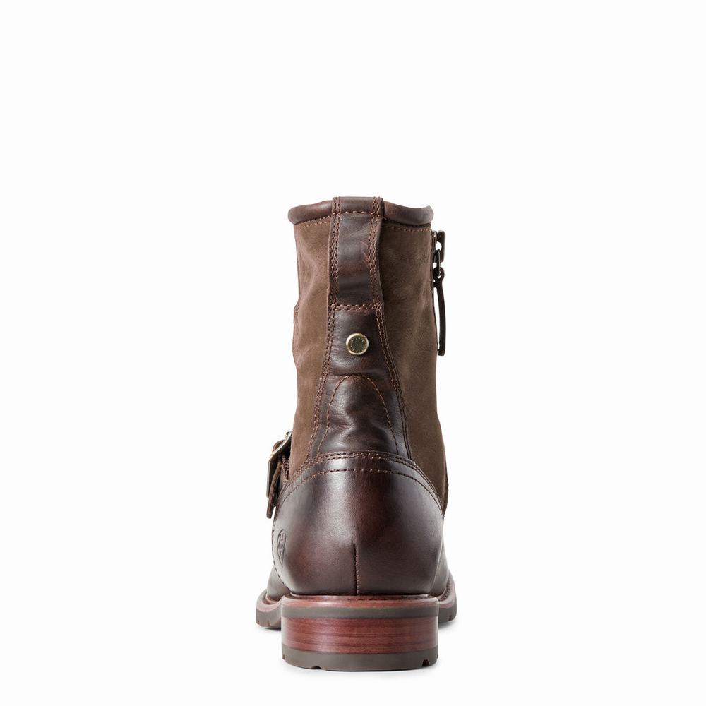 Chocolate Ariat Savannah Waterproof Women's Booties | HEJF50496