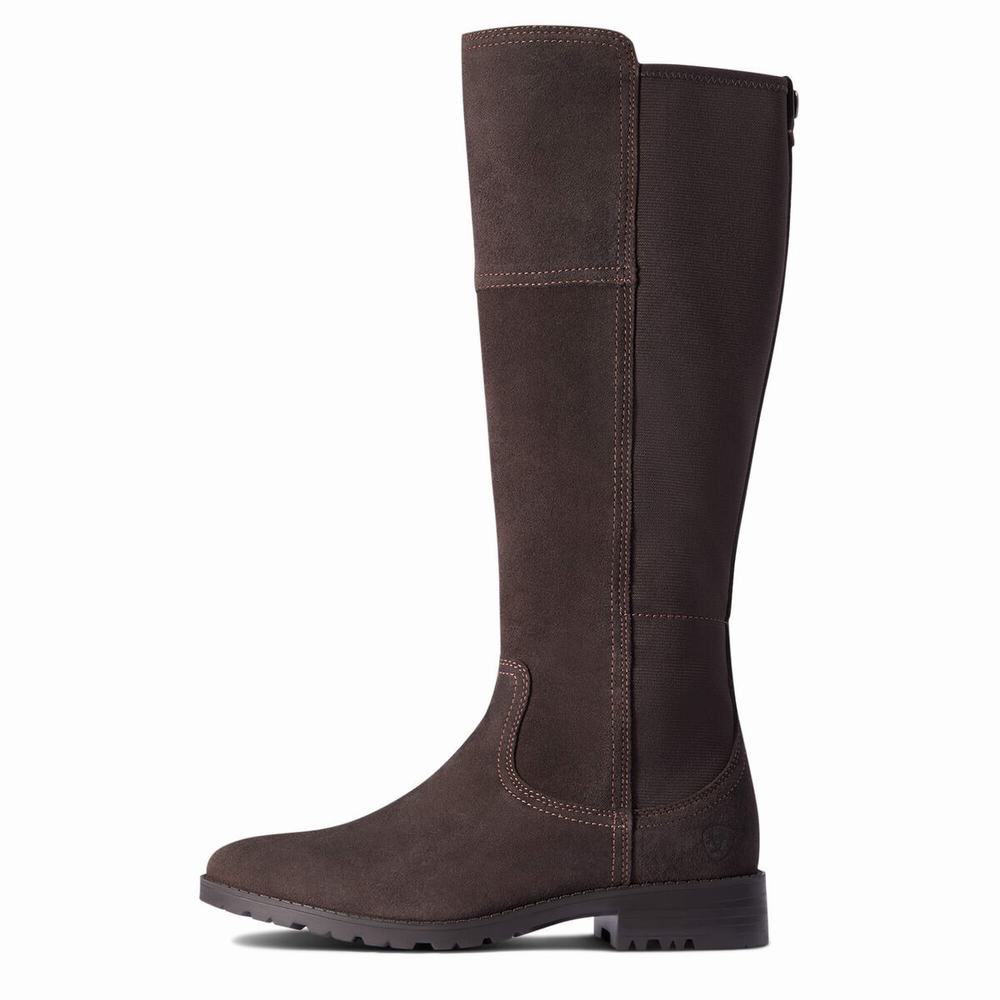 Chocolate Ariat Sutton II Waterproof Women's Dress Boots | LNUX85296