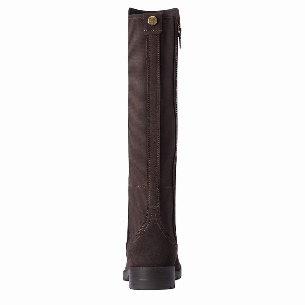 Chocolate Ariat Sutton II Waterproof Women's Dress Boots | LNUX85296